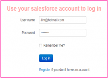 Salesforce項目